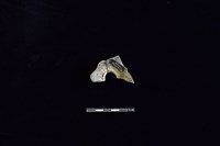 陶甑藏品圖，第2張